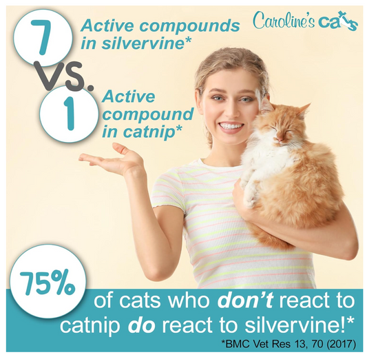 Caroline's Cats Silvervine Powder Packets for Cat Toys - Gall Fruit Refill Pouches More Potent Than Catnip Replacements for Flapping Bird, Flopping Fish, and More