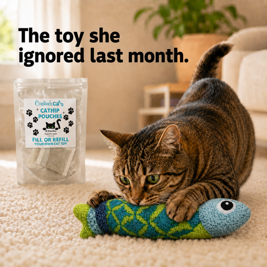 Caroline's Cats Catnip Pouches for Cat Toys, 10 No-Mess Refill Packets, Indoor Cats -- Replacement Nip for Flapping Bird, Flopping Fish, and Interactive Toys