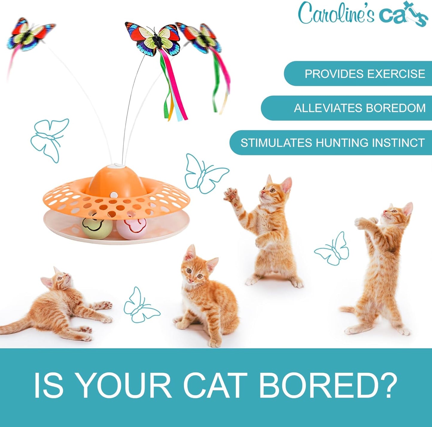 Caroline's Cats Automatic Butterfly Cat Toy – 2 in 1 Cat Toy Auto Shut Off & Catnip Ball Track; Recommended Cat Enrichment Toy Orange