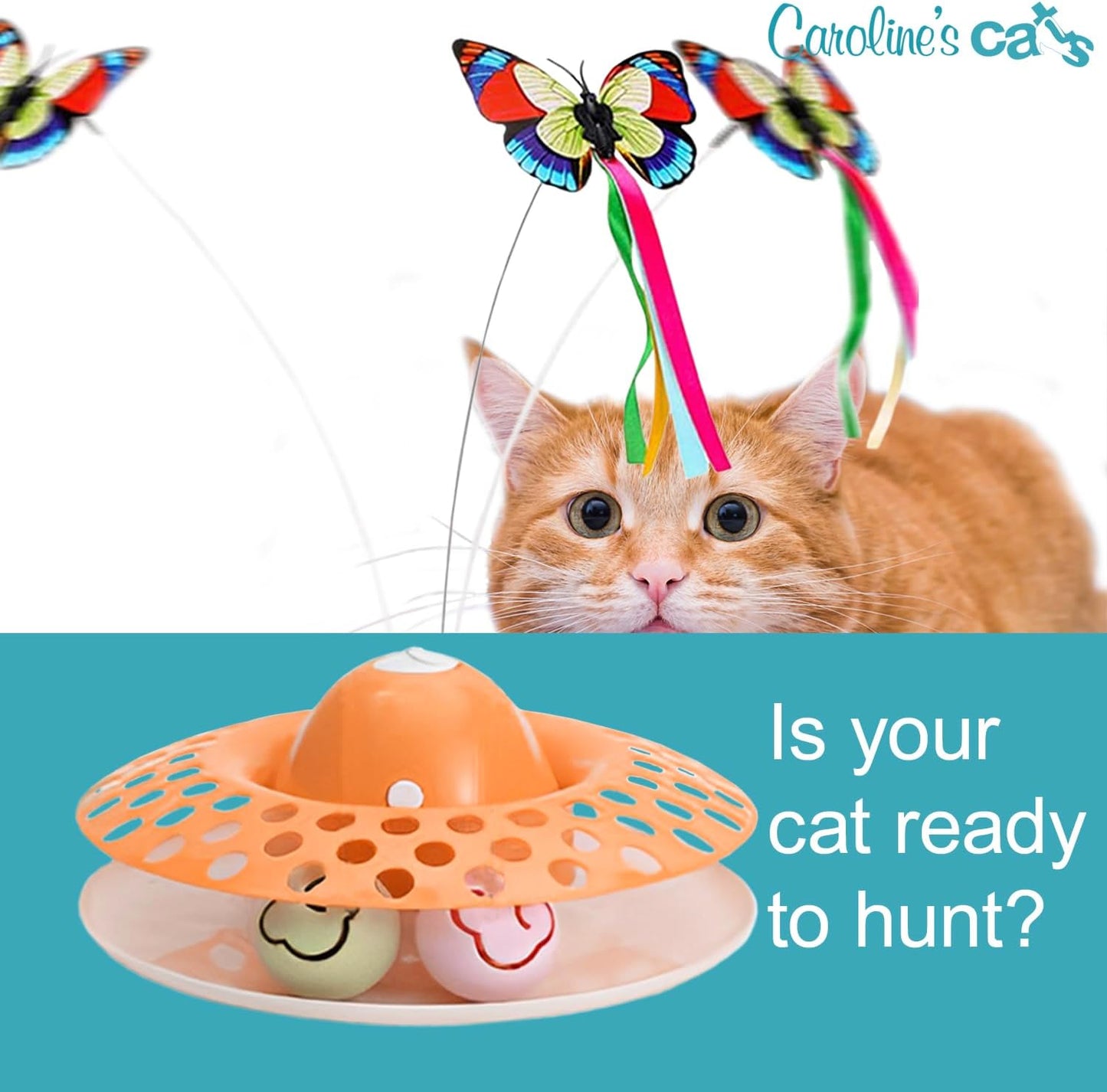 Caroline's Cats Automatic Butterfly Cat Toy – 2 in 1 Cat Toy Auto Shut Off & Catnip Ball Track; Recommended Cat Enrichment Toy Orange